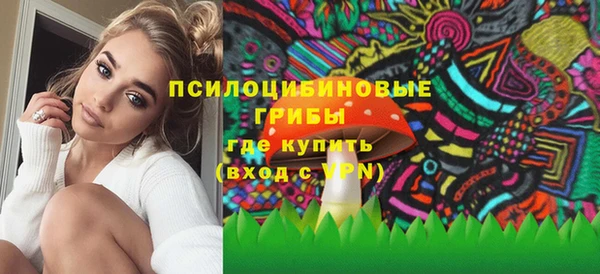 стафф Абинск