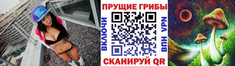 Галлюциногенные грибы Psilocybe  мега ссылки  Горбатов 